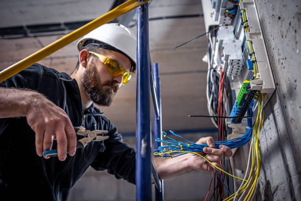 Best Local Electrician Companies  in Encinal, TX
