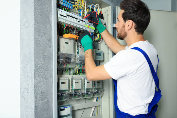 Best Electric Panel Repair  in Encinal, TX